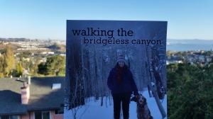 If you want to get a copy of this book, you can do it at this link:  http://www.amazon.com/Walking-Bridgeless-Canyon-Kathy-Baldock/dp/1619200287/ref=sr_1_1?ie=UTF8&qid=1414874423&sr=8-1&keywords=kathy+baldock